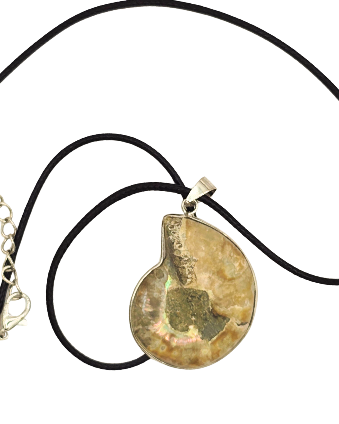 Collar con dije de Ammonite natural – Elegancia con historia